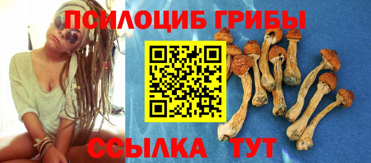Псилоцибиновые грибы мицелий Орехово-Зуево